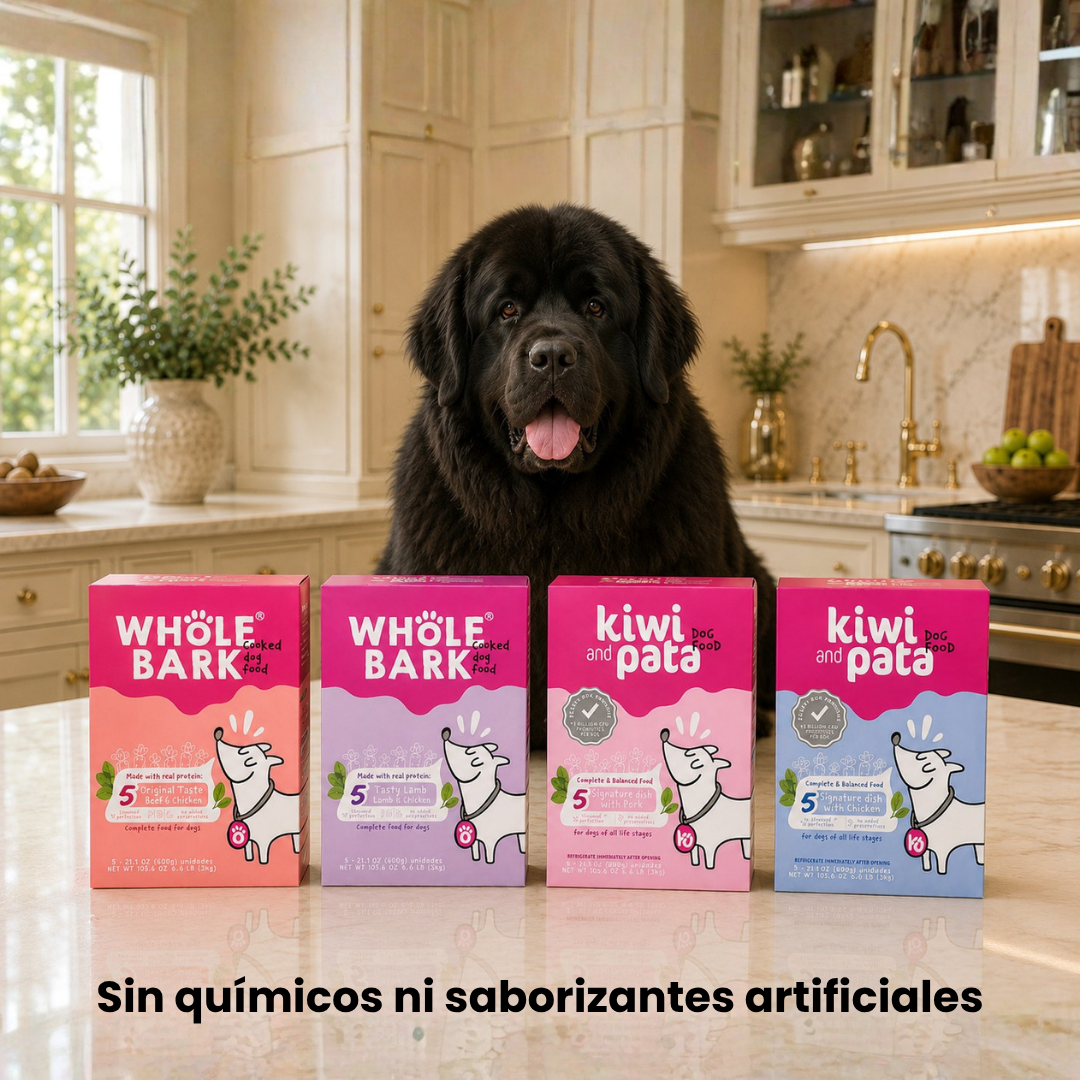 Pack X40 Variedad De Recetas Naturales Cocidas Para Perros | Dish Mix