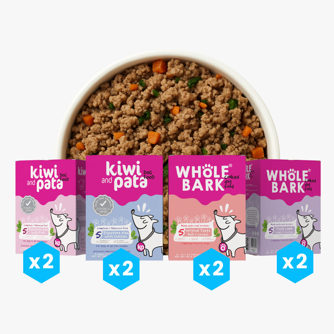 Pack X8 Variedad De Recetas Naturales Cocidas Para Perros | Dish Mix