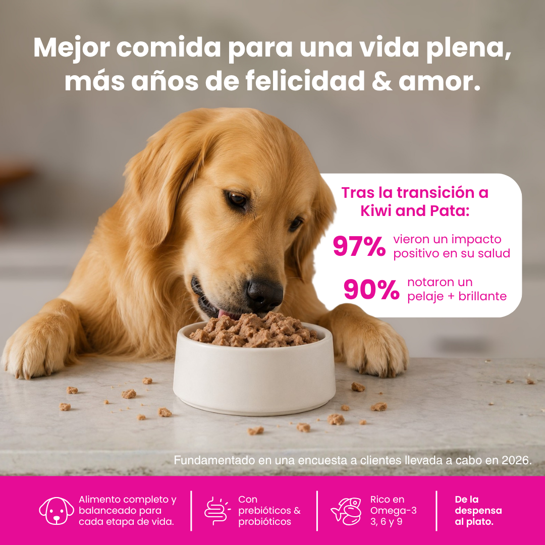 Kit de Bienvenida