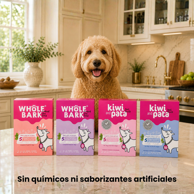 Pack X16 Variedad De Recetas Naturales Cocidas Para Perros | Dish Mix
