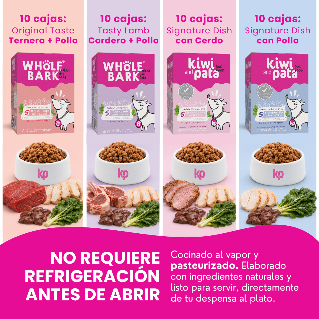 Pack X40 Variedad De Recetas Naturales Cocidas Para Perros | Dish Mix