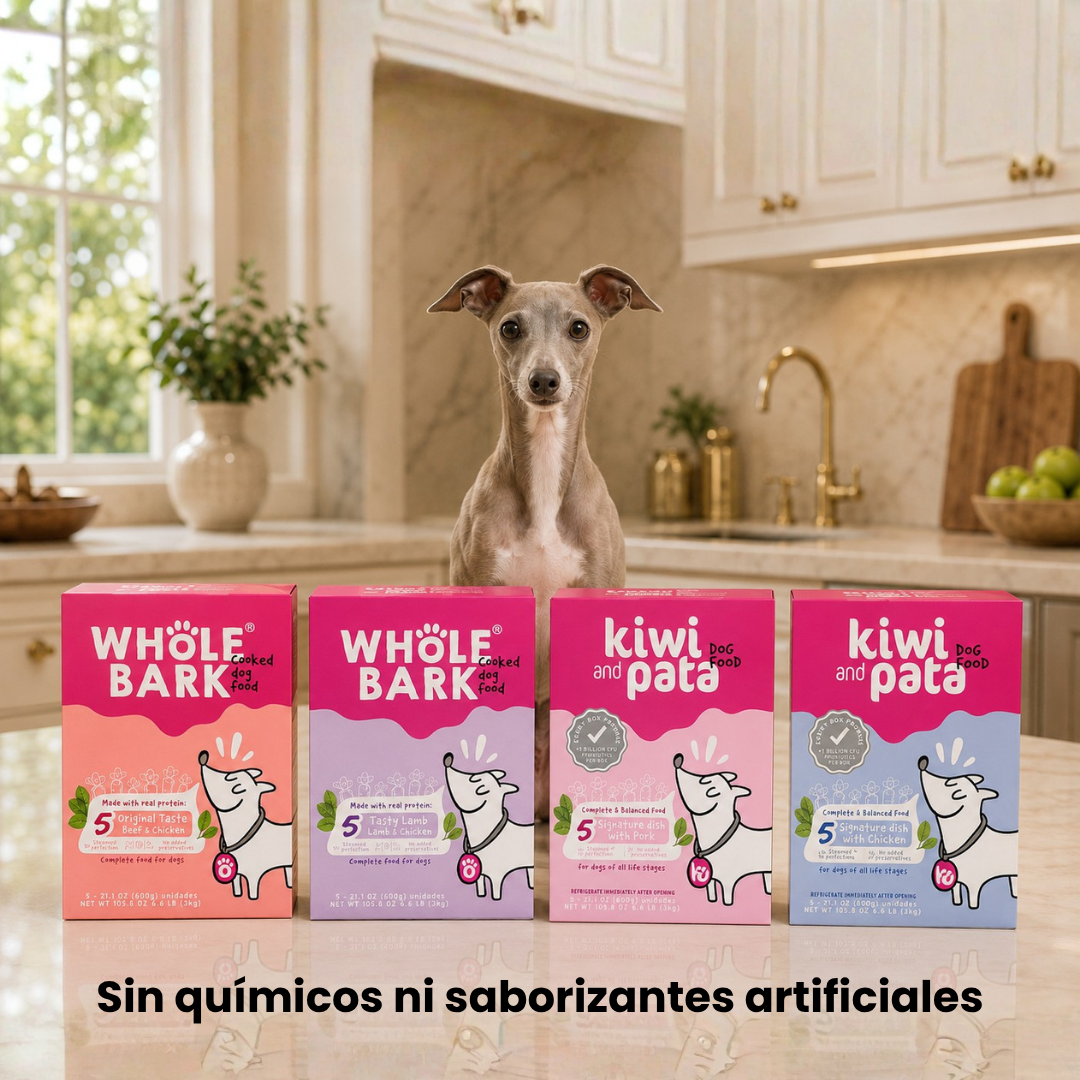 PACK x4 Variedad de Recetas Naturales Cocidas para Perros | Dish Mix