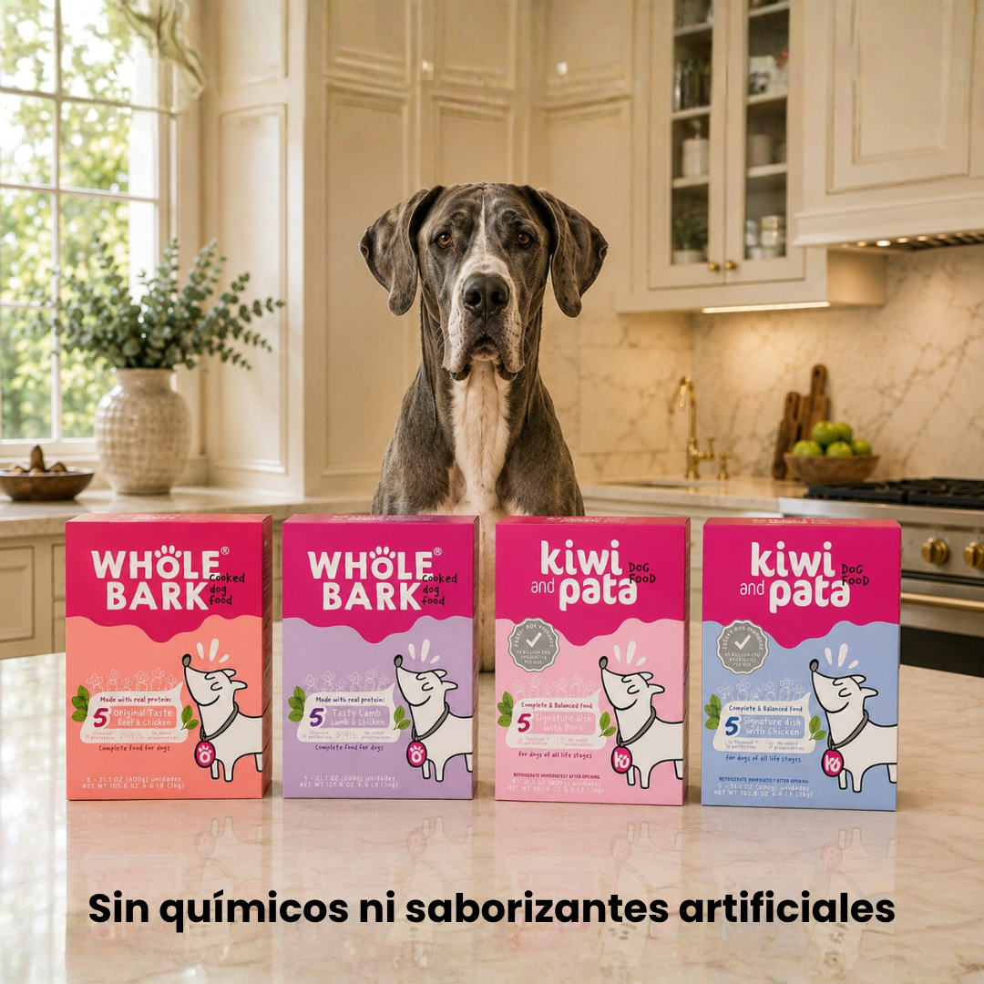 Pack X8 Variedad De Recetas Naturales Cocidas Para Perros | Dish Mix