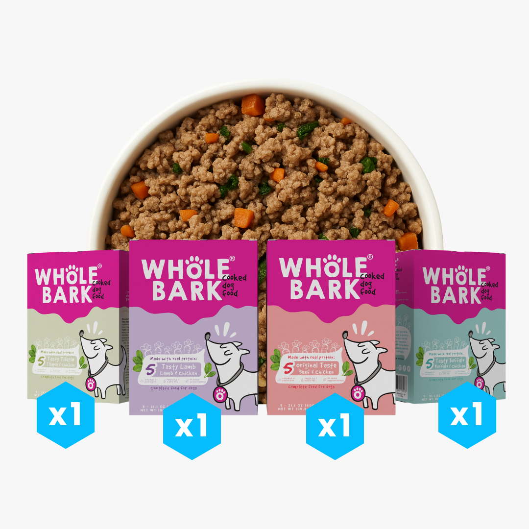 Pack X4 Surtido Premium De Alimento Natural Cocido Para Perros | Cooked Dog Food