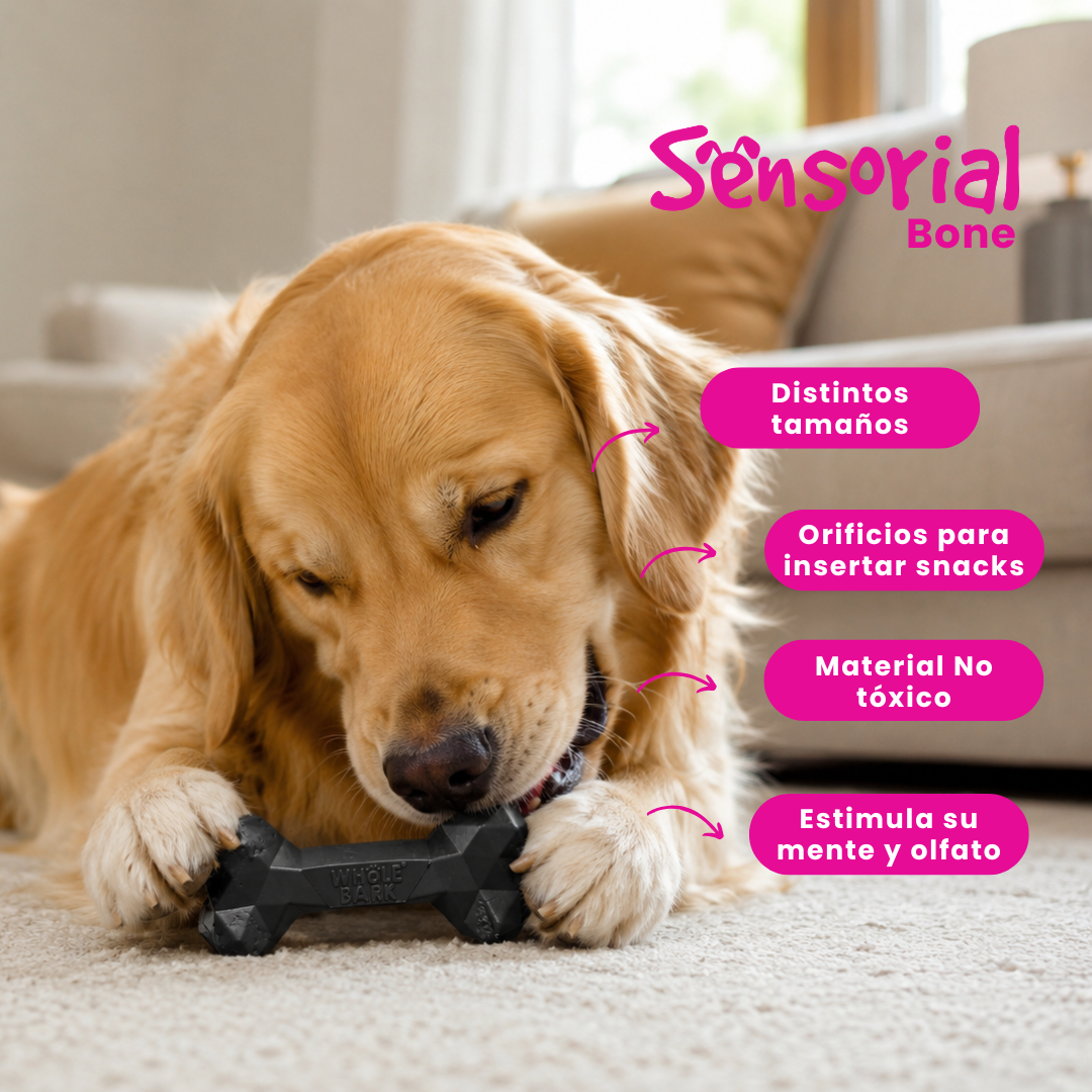 Juguete Interactivo Mordedor Resistente para Perros - Heavy Duty | Sensorial Bone