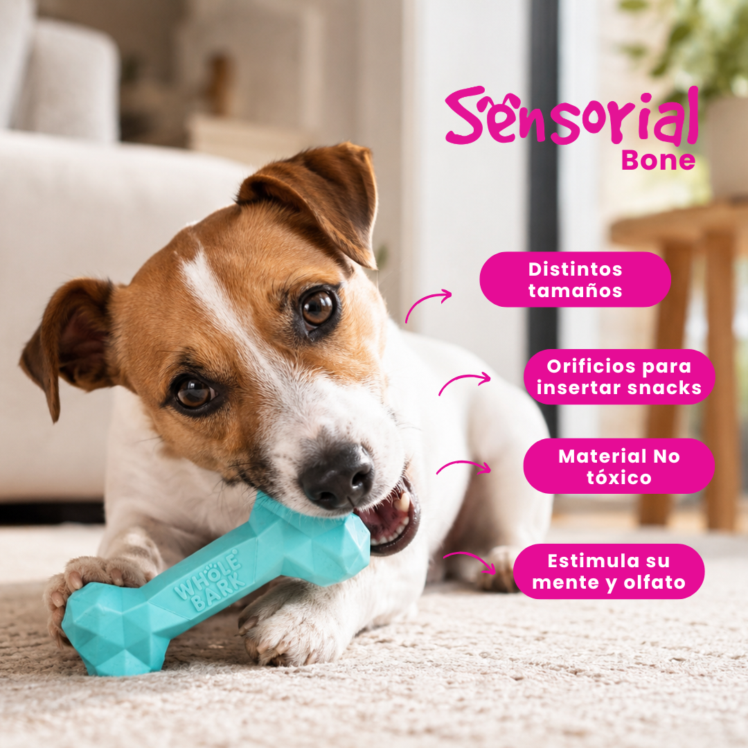 Juguete Interactivo Mordedor para Perros - Mint Bone | Sensorial Bone