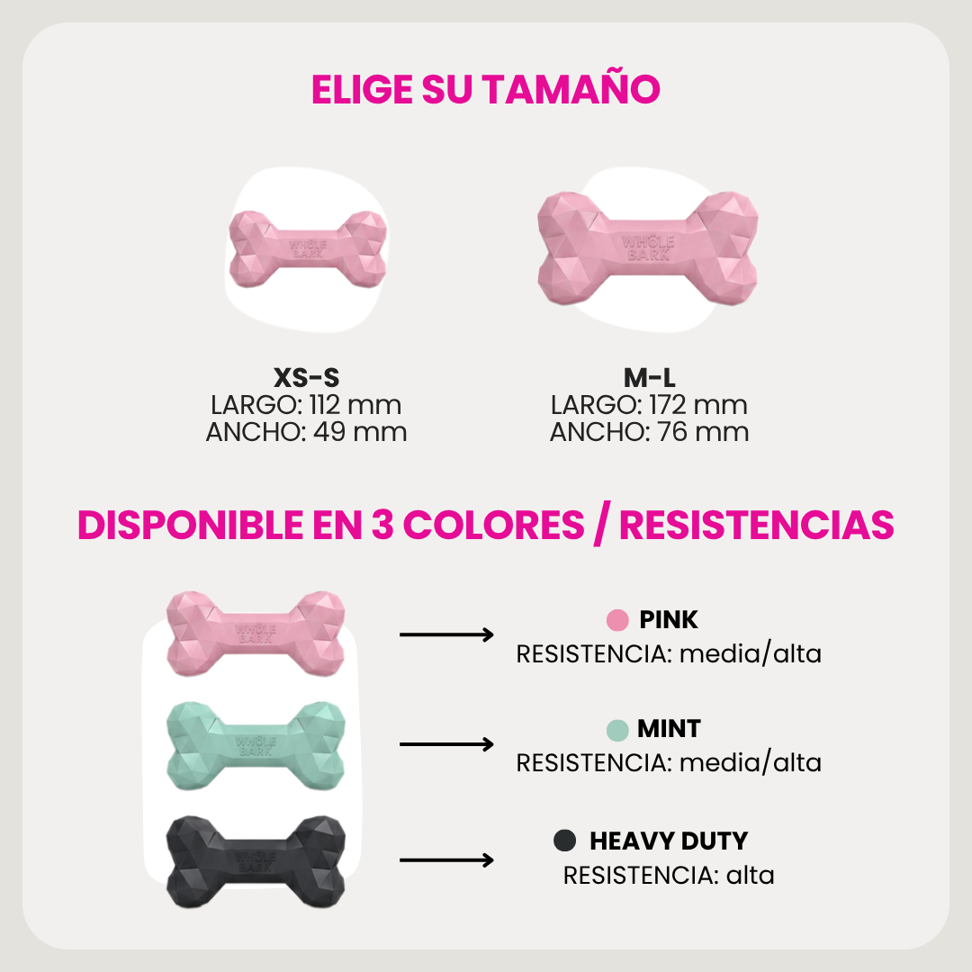 Kit de Bienvenida