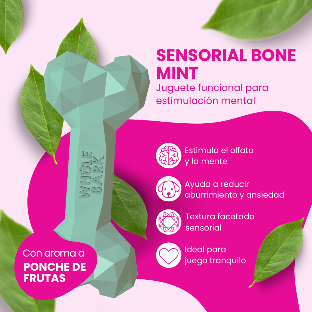 Juguete Interactivo Mordedor para Perros - Mint Bone | Sensorial Bone