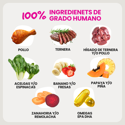 Alimento Natural Cocido Premium con Ternera para Perros | Cooked Dog Food - Original Taste