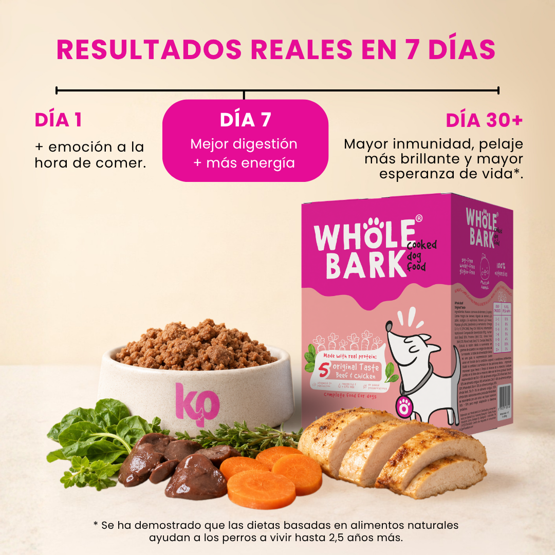 Alimento Natural Cocido Premium con Ternera para Perros | Cooked Dog Food - Original Taste