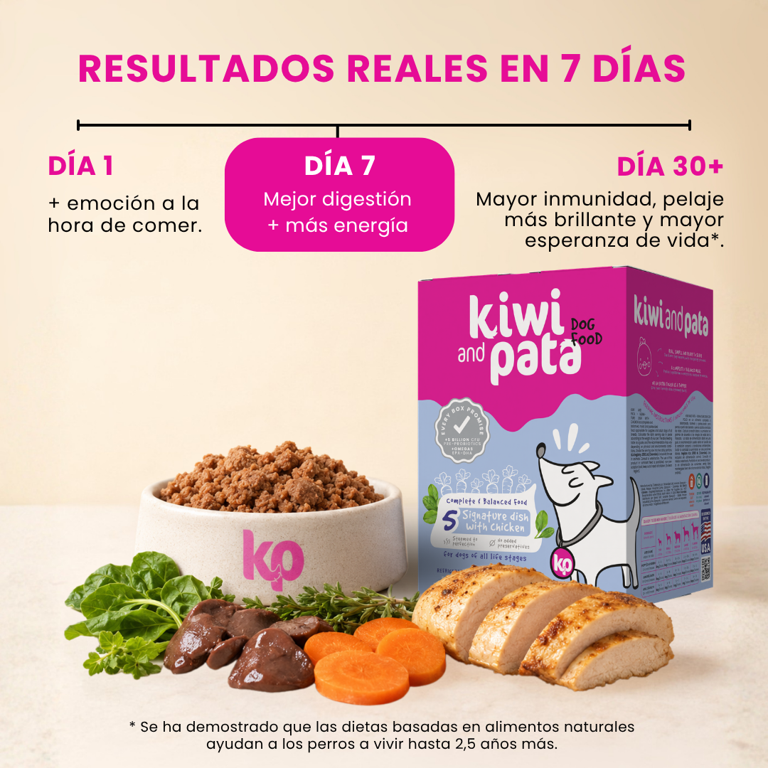 PACK x4 Variedad de Recetas Naturales Cocidas para Perros | Dish Mix