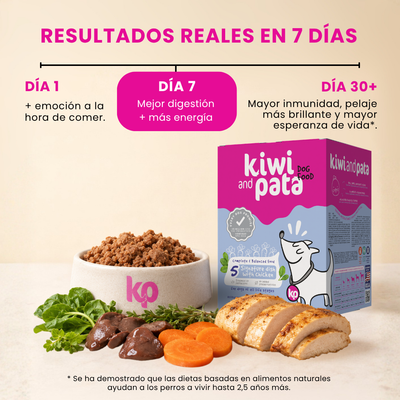 PACK x4 Variedad de Recetas Naturales Cocidas para Perros | Dish Mix