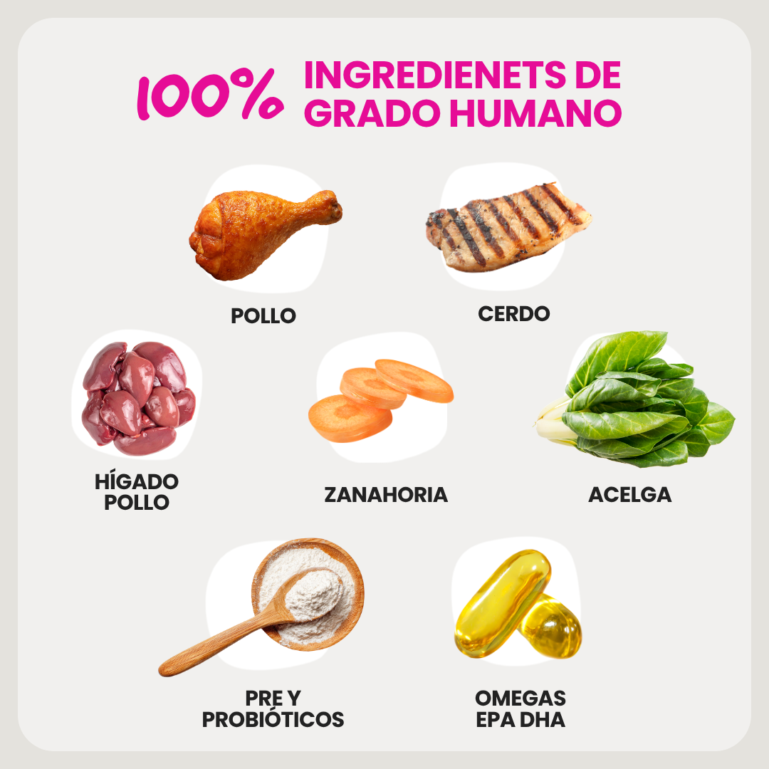 Alimento Natural Cocido Súper Premium con Cerdo para Perros | Signature Dish with Pork