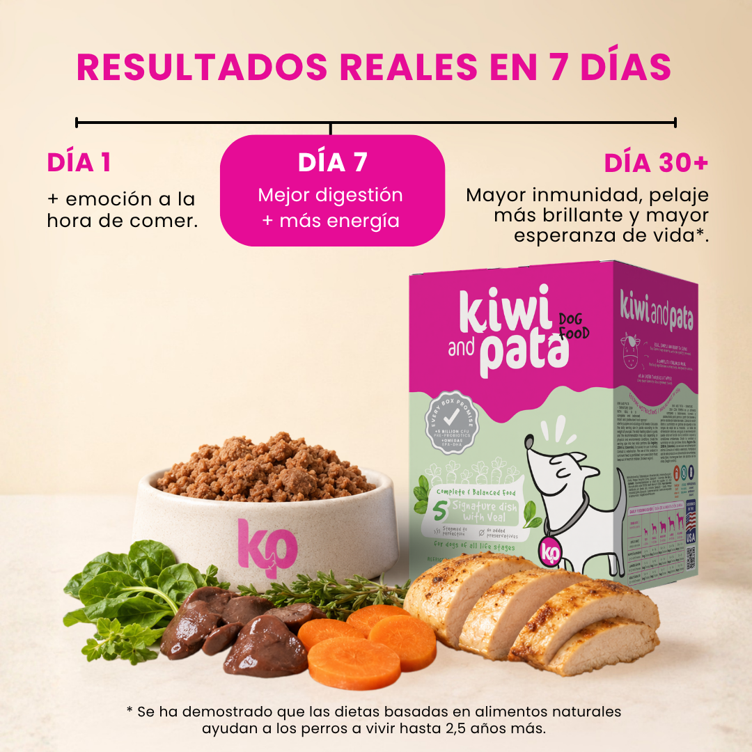 Alimento Natural Cocido Súper Premium con Ternera para Perros | Signature Dish with Veal