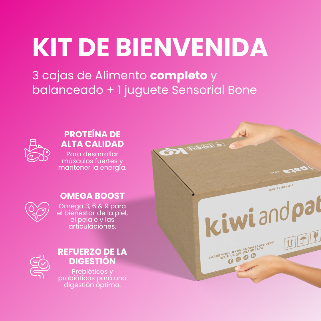 Kit de Bienvenida