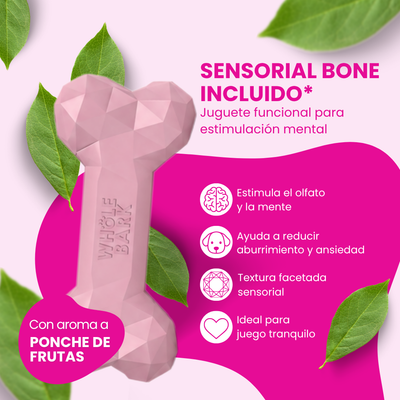 Kit de Bienvenida