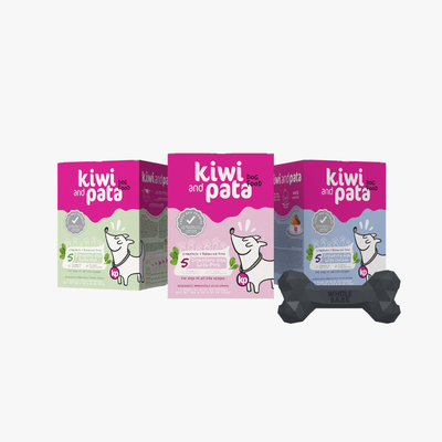Kit de Bienvenida