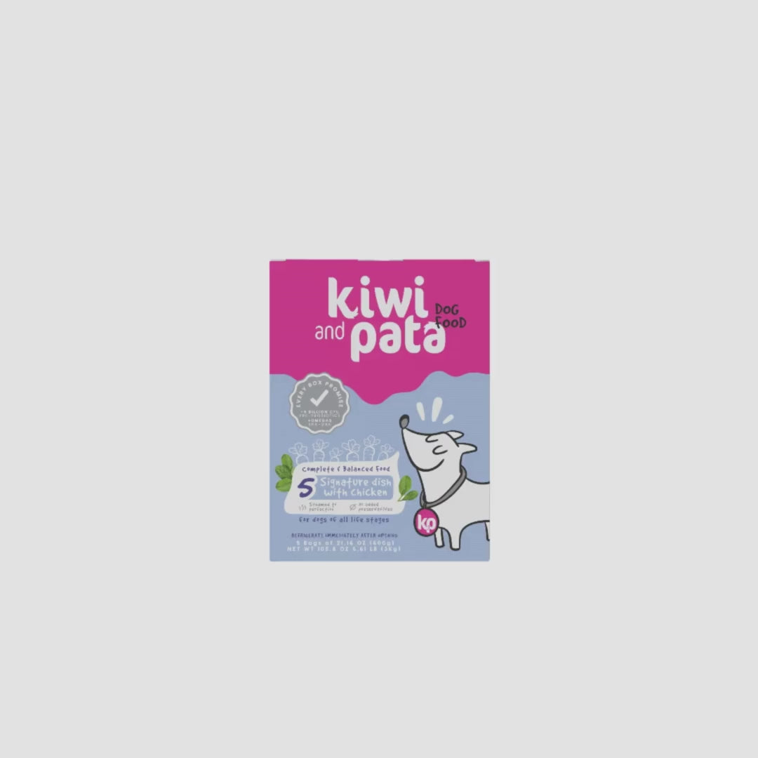 4 PACK - Dish Mix